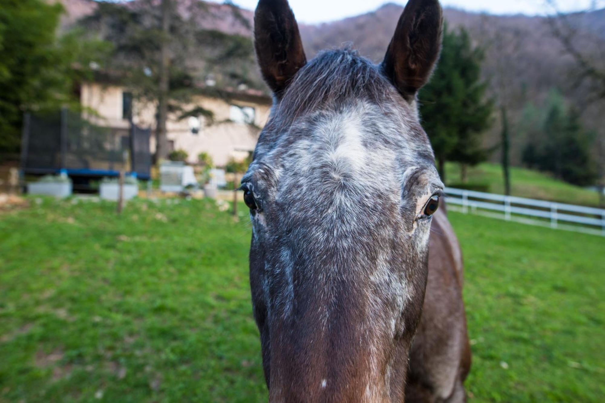 Cascina Canale Sabbio Chiese Kültér fotó