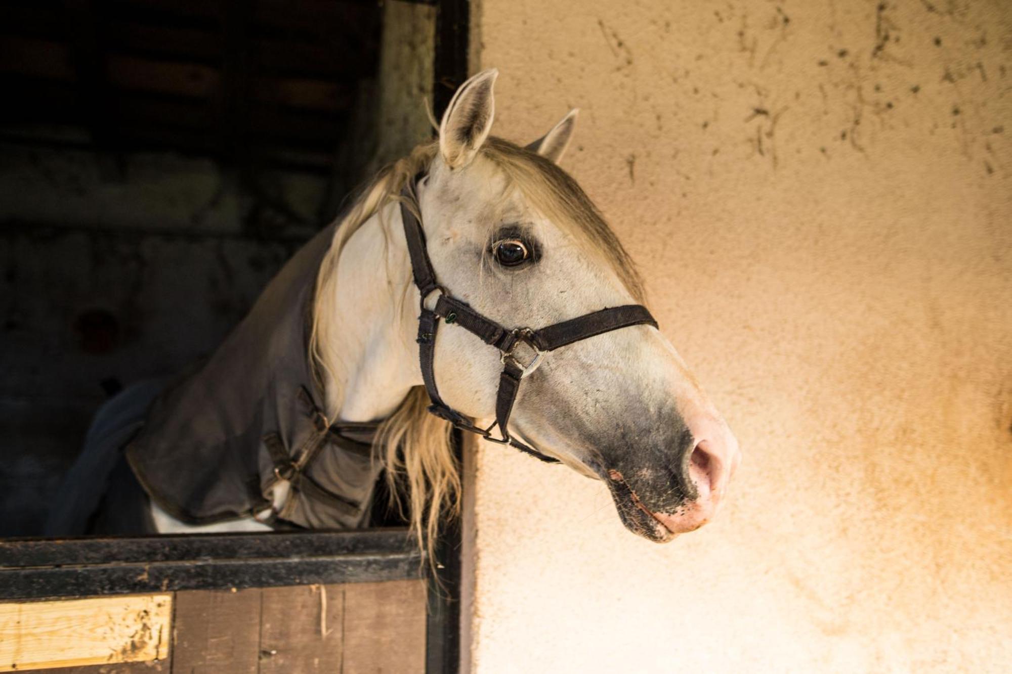 Cascina Canale Sabbio Chiese Kültér fotó