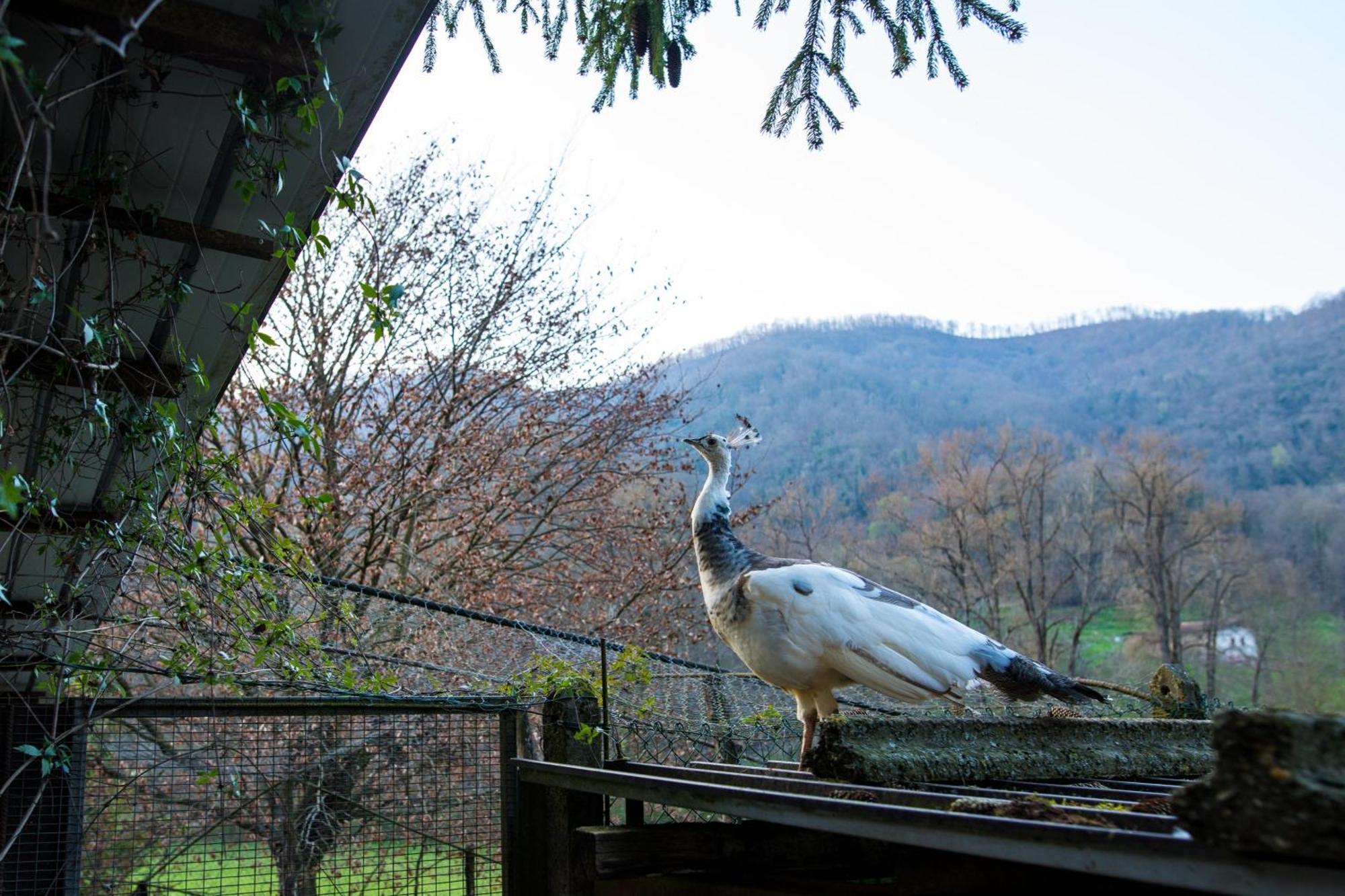 Cascina Canale Sabbio Chiese Kültér fotó
